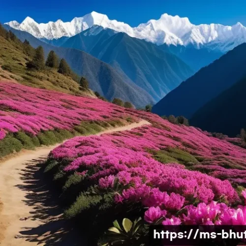Home 24 부탄의 히말라야 꽃 축제 - A breathtaking panoramic view of a vast Himalayan valley in Bhutan, completely blanketed in a vibran...